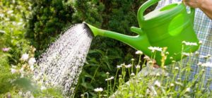 864_ahorrar-agua-al-regar_1050